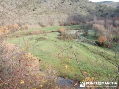 Meandros Río Lozoya- Senda Genaro GR300 - salidas al aire libre; actividades senderismo madrid
